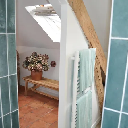 Appartement Historic Center, Air Conditioning, Terrace, Rooftop Views Toulouse