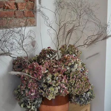 Historic Center, 74 M2, Terrace, Rooftop Views تولوز