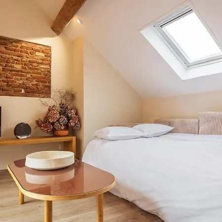 شقة Historic Center, 74 M2, Terrace, Rooftop Views تولوز