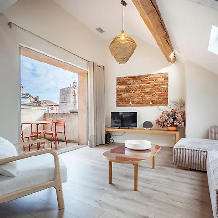 شقة Historic Center, 74 M2, Terrace, Rooftop Views تولوز