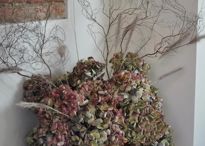 Historic Center, 74 M2, Terrace, Rooftop Views Toulouse